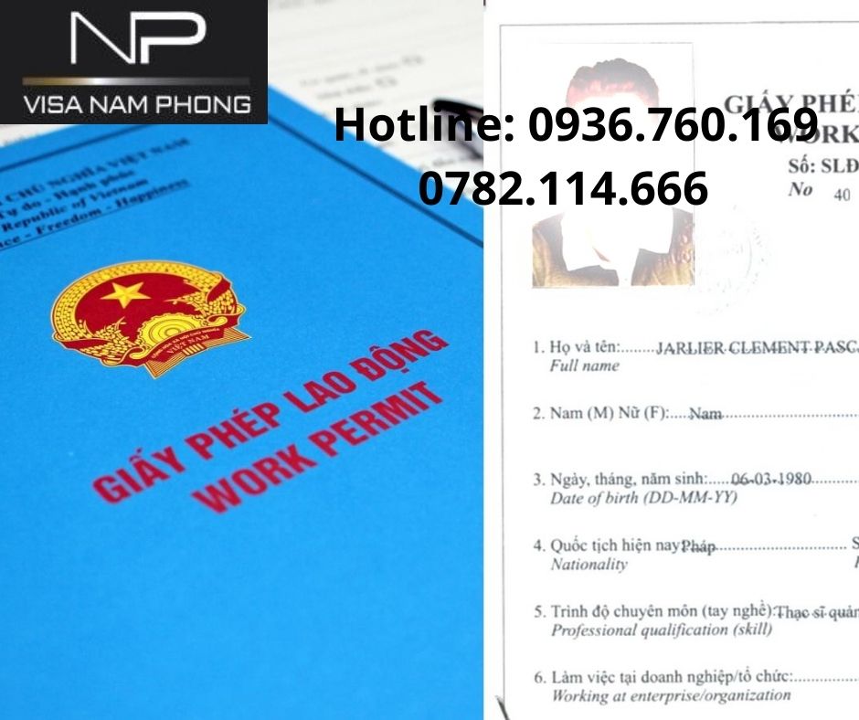 Giấy phép lao động chuẩn cho người nước ngoài tại hải phòng