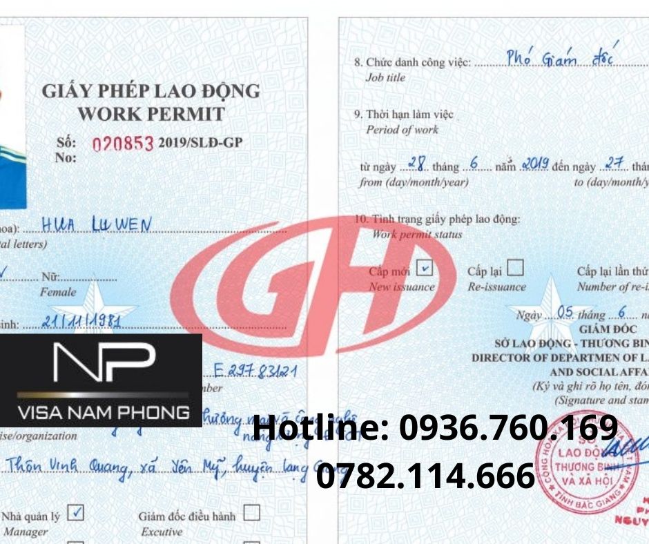 Giấy phép lao động uy tín cho người nước ngoài hải phòng