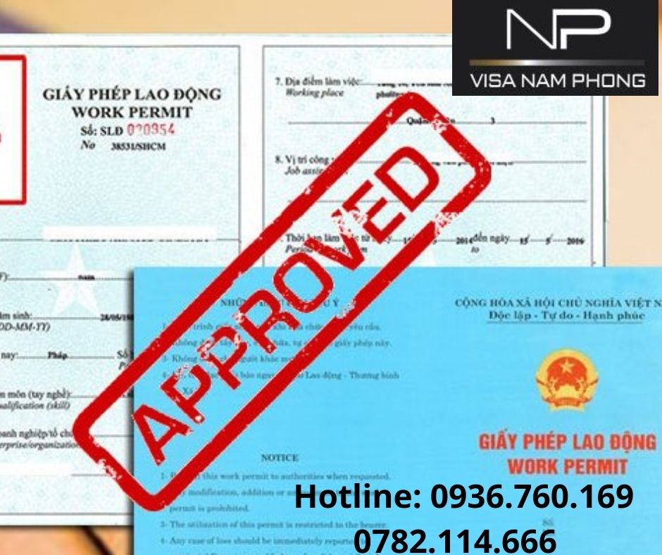 Giấy phép lao động giá rẻ cho người nước ngoài hải phòng