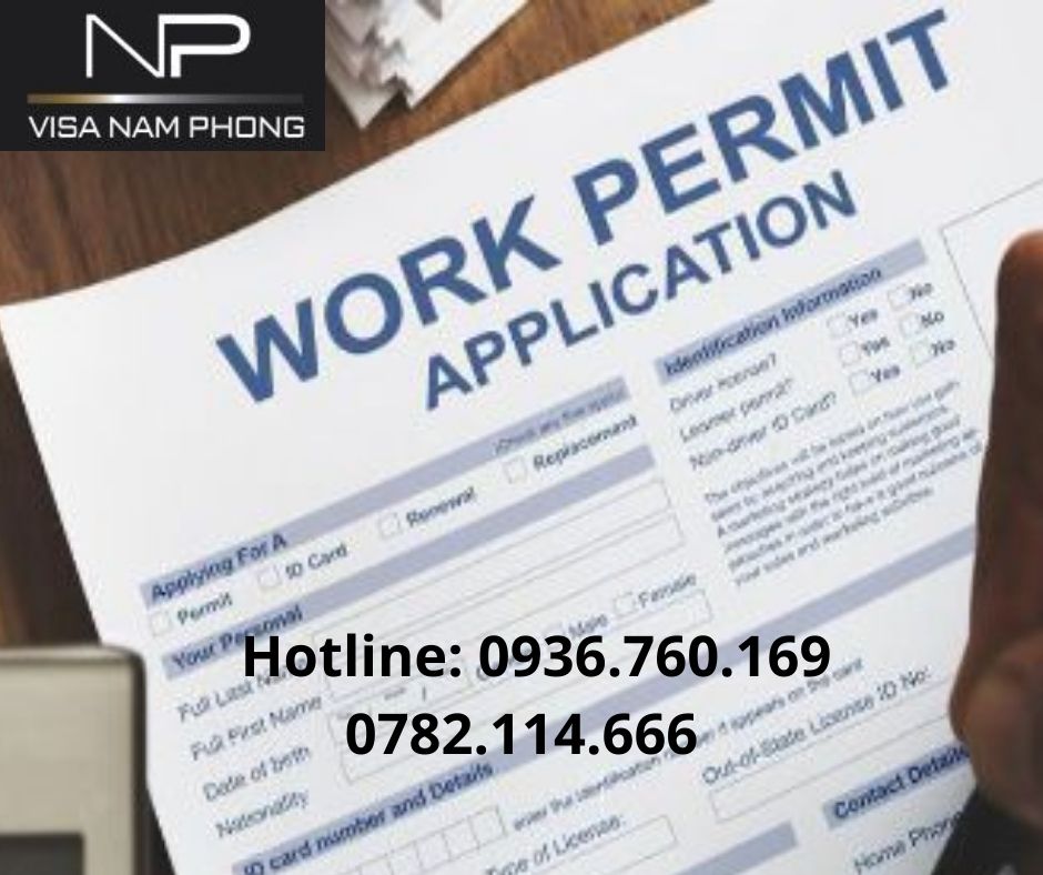 Giấy phép lao động chuyên nghiệp cho người nước ngoài tại hải phòng