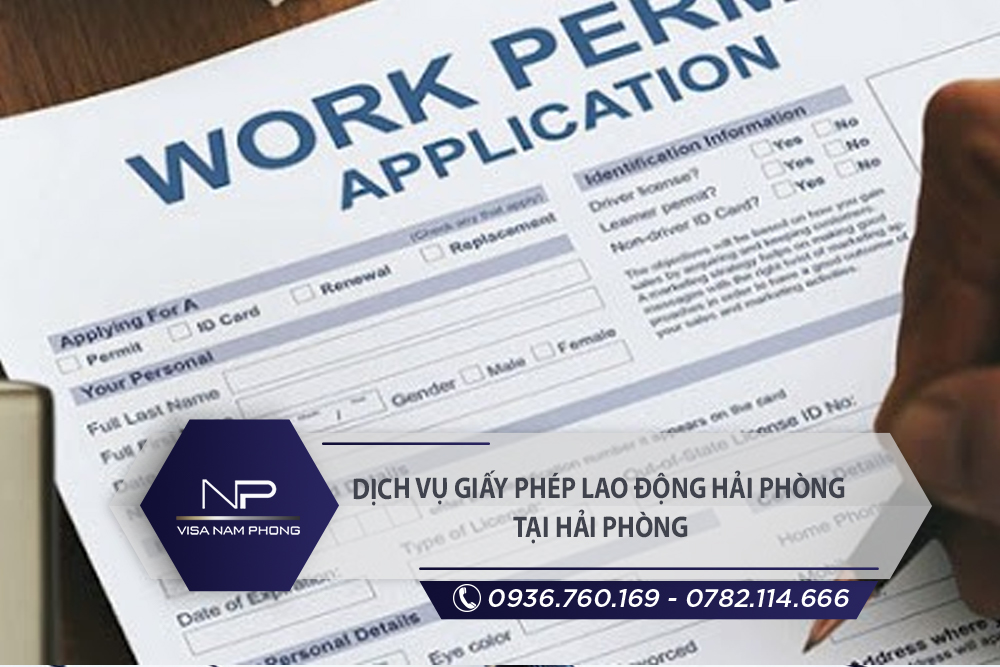 d ch v gi y phep lao d ng h i phong t i d son h i phong