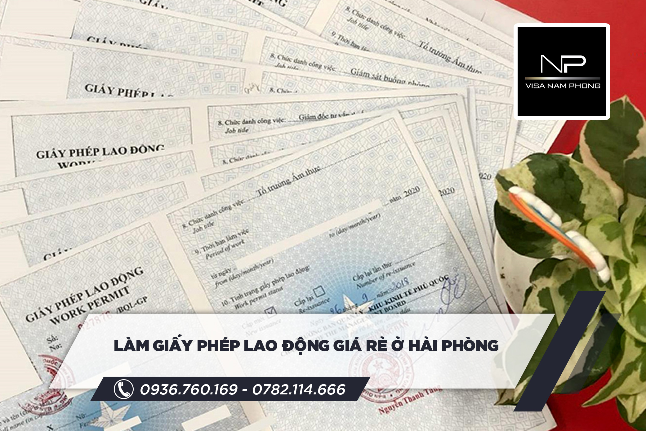 làm giấy phép lao động giá rẻ ở hải phòng