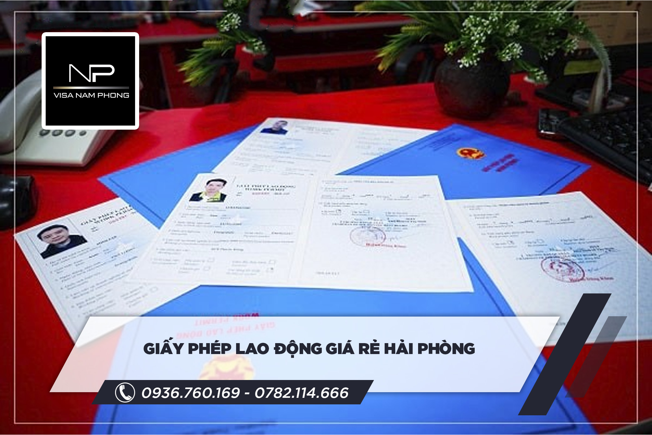 Giấy phép lao động giá rẻ hải phòng
