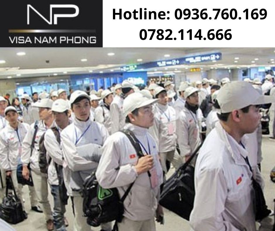 Tư vấn làm giấy phép lao động trọn gói hải phòng