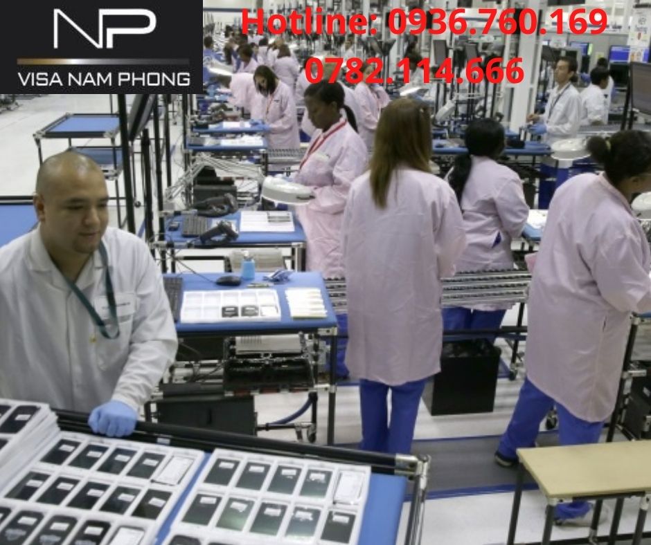 Địa chỉ làm giấy phép lao động chuyên nghiệp tại hải phòng