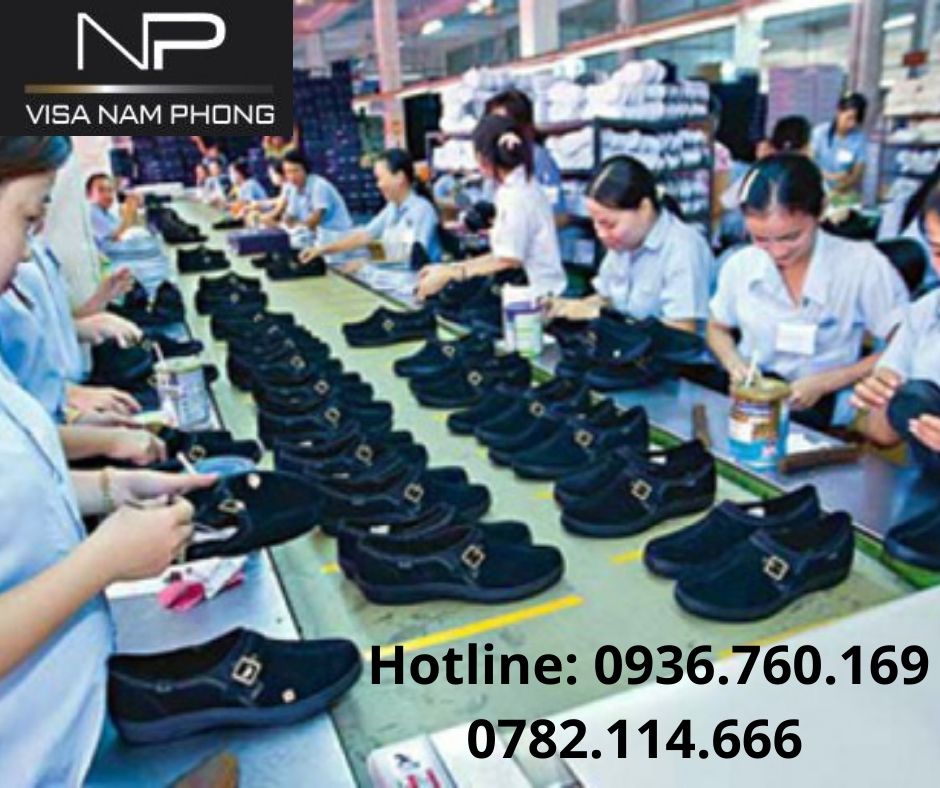 Địa chỉ làm giấy phép lao động nhanh tại hải phòng