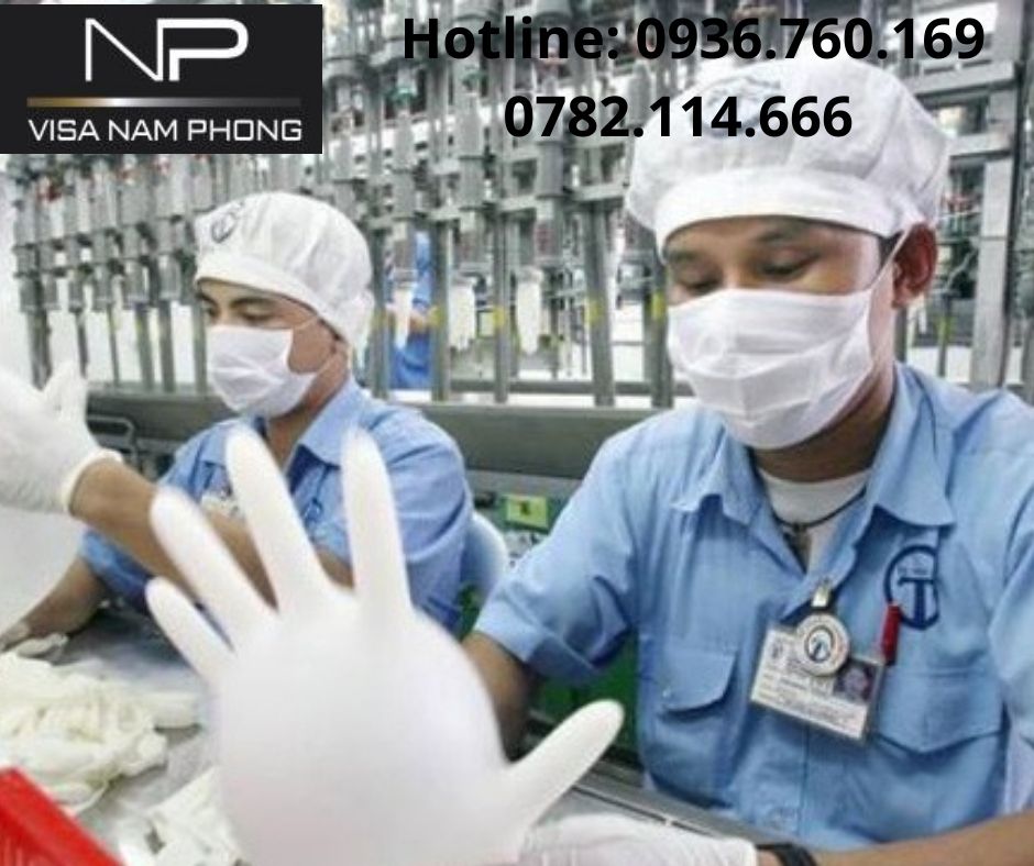 Địa chỉ làm giấy phép lao động giá rẻ tại hải phòng