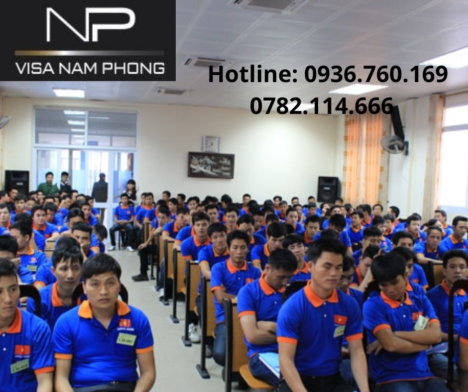 Địa chỉ tư vấn Làm giấy phép lao động trọn gói tại hải phòng