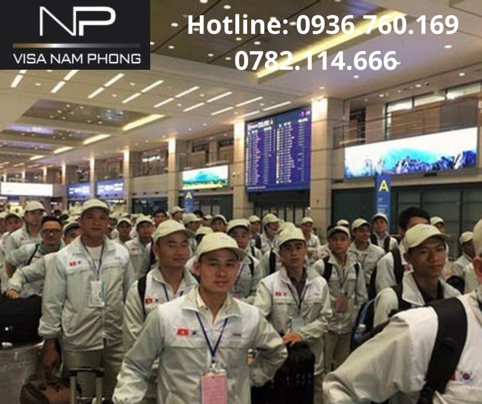Tư vấn làm giấy phép lao động uy tín số 1 hải phòng
