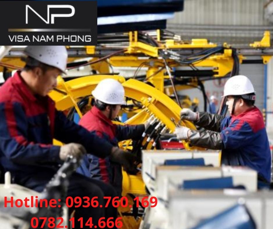 Nơi làm giấy phép lao động cho người nước ngoài ở hải phòng