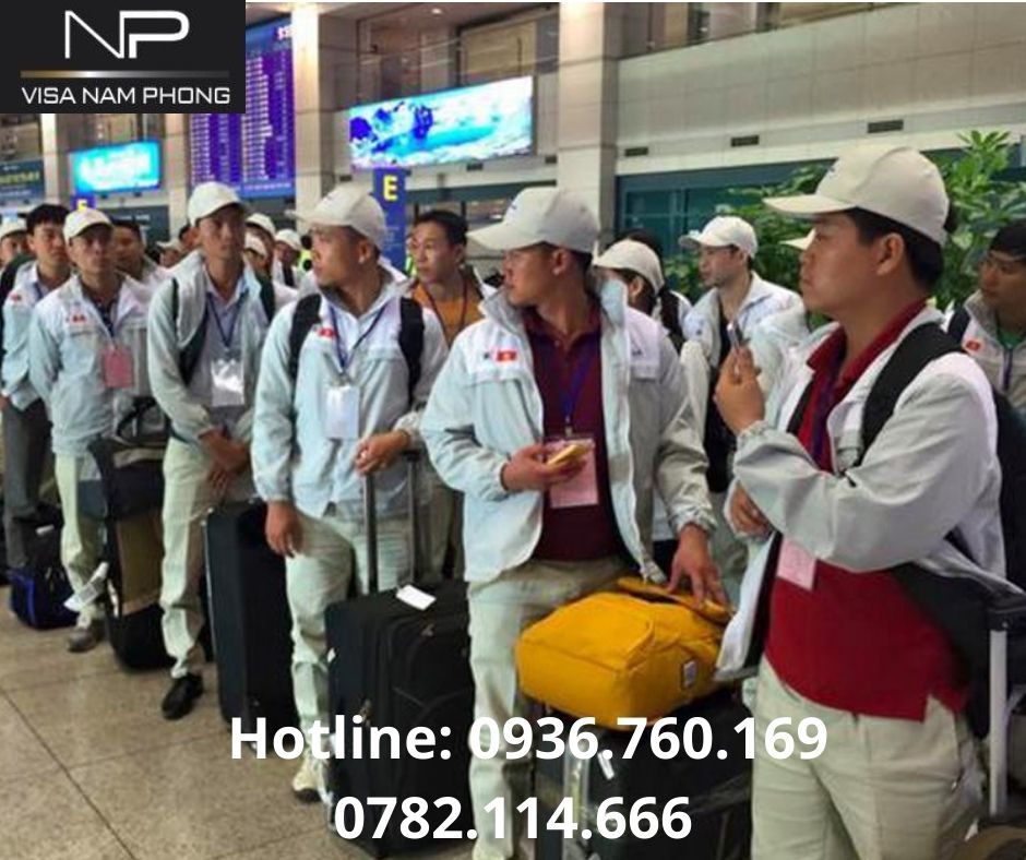Nơi làm giấy phép lao động cho người nước ngoài uy tín chuyên nghiệp hải phòng