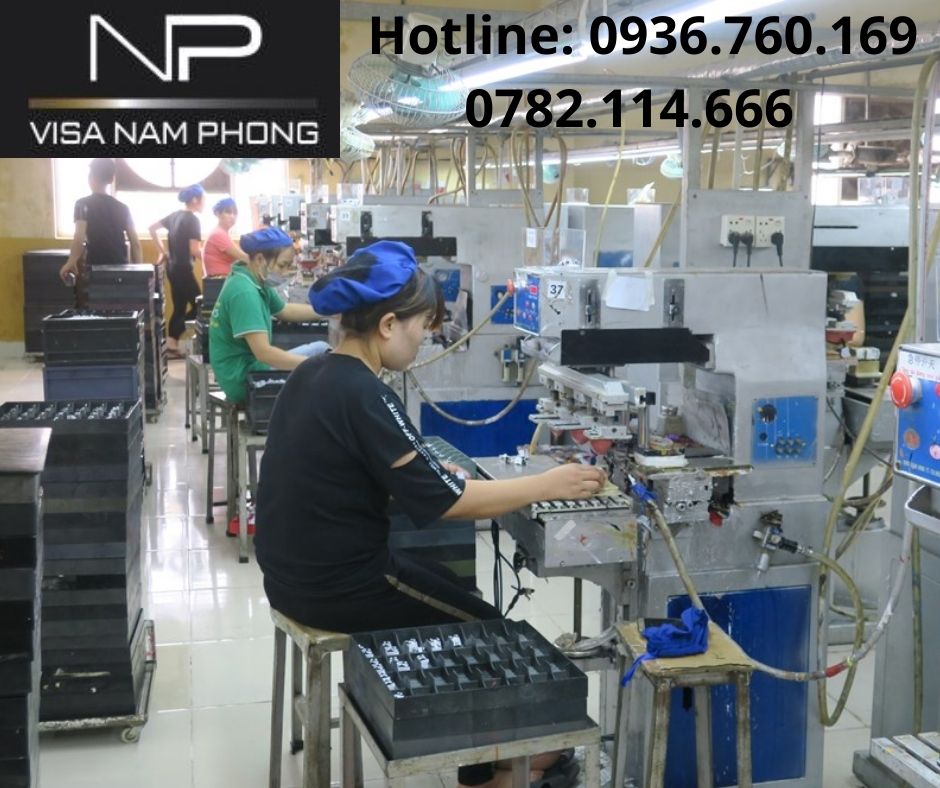 Nơi làm giấy phép lao động cho người nước ngoài uy tín ở hải phòng