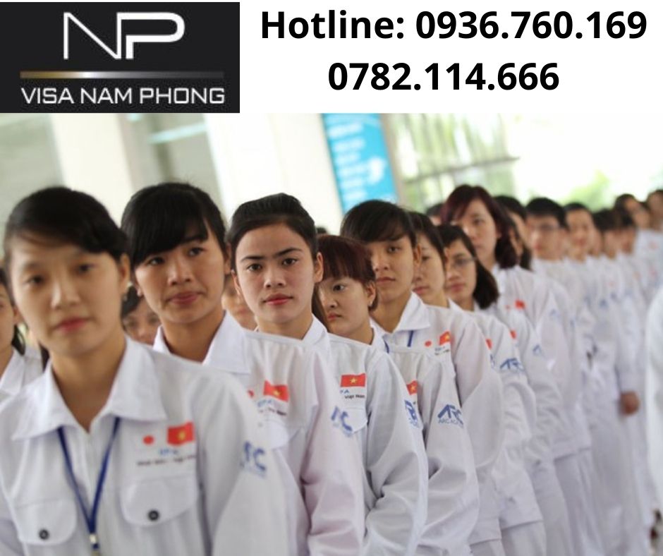 Nơi làm giấy phép lao động cho người nước ngoài chuyên nghiệp ở hải phòng
