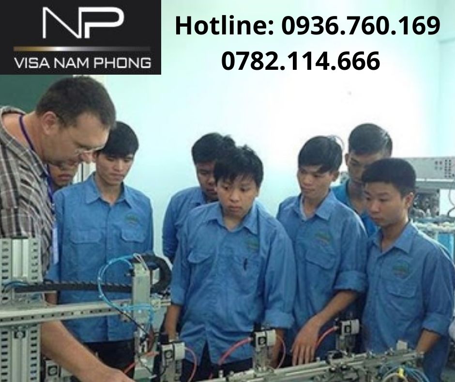 Nơi làm giấy phép lao động của người nước ngoài ở hải phòng