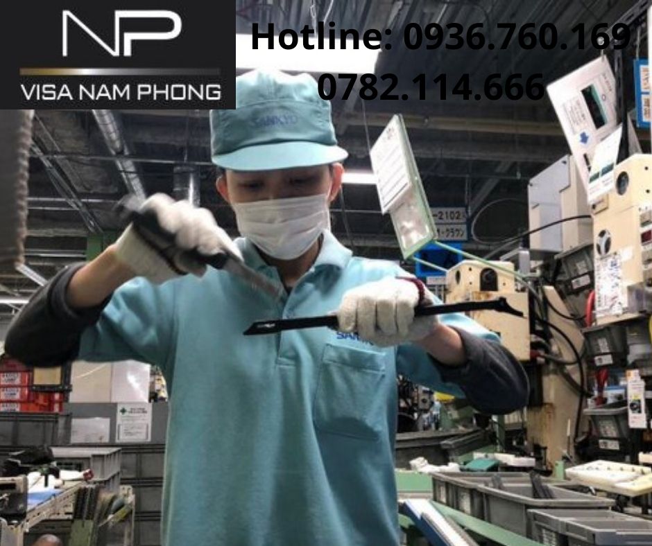 Nơi làm giấy phép lao động chuyên nghiệp cho người nước ngoài tại hải phòng