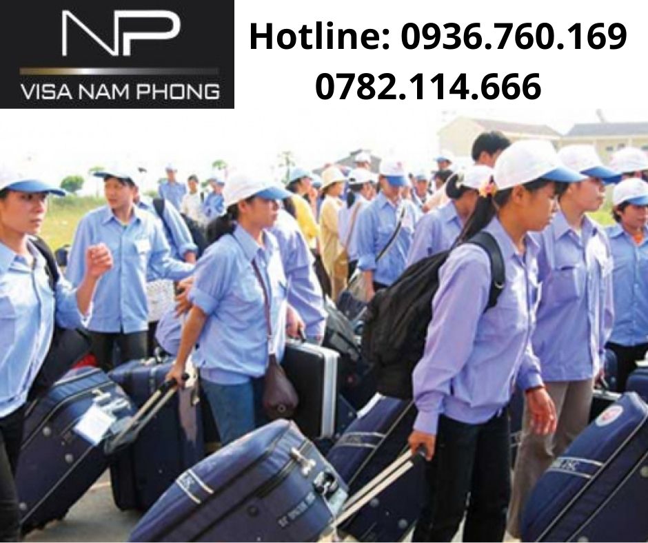 Nơi làm giấy phép lao động giá rẻ cho người nước ngoài tại hải phòng