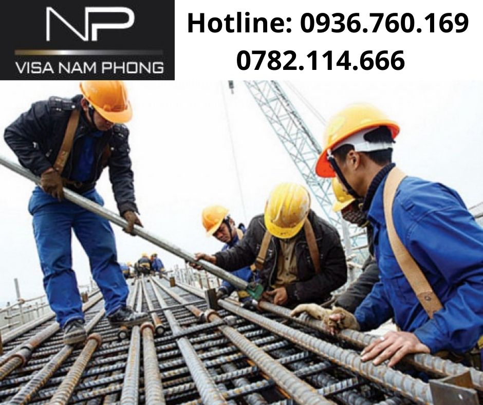 Nơi làm giấy phép lao động chuẩn cho người nước ngoài tại hải phòng
