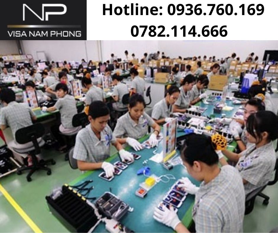 Giấy phép lao động ở hải phòng