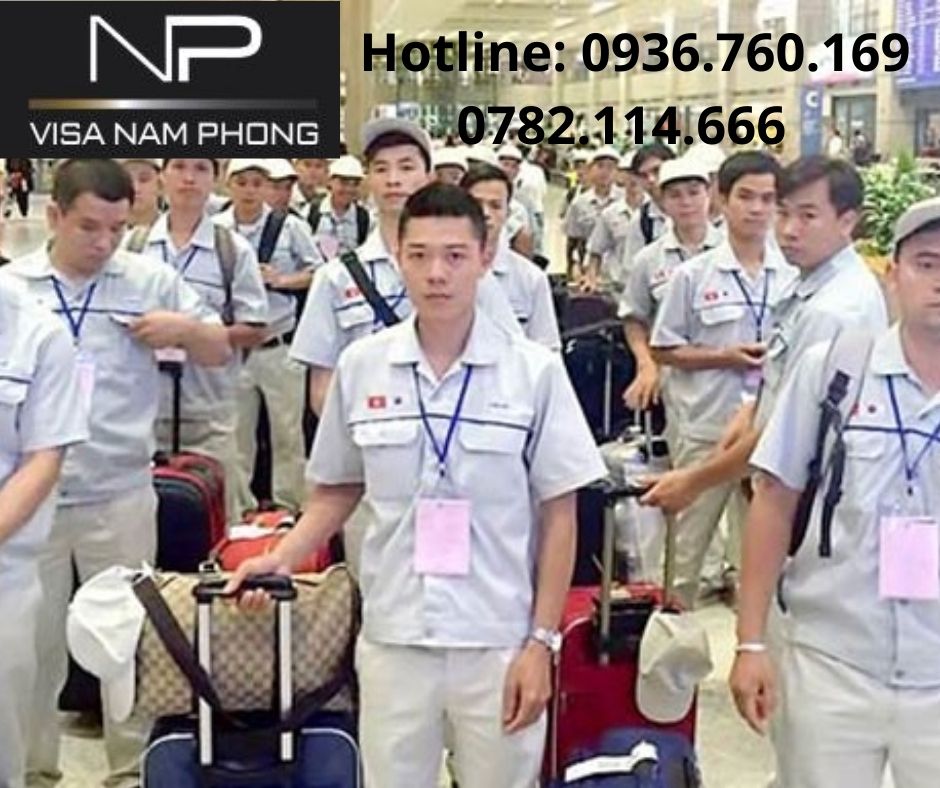 Giấy phép lao động ở tại hải phòng