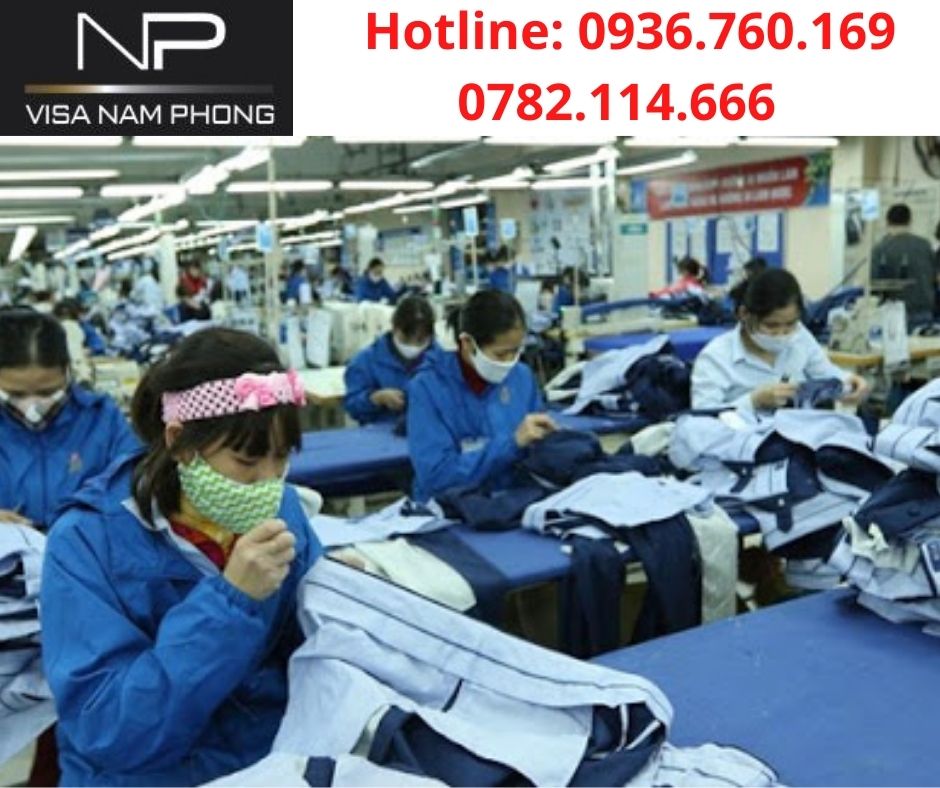 Thủ tục làm giấy phép lao động uy tín ở hải phòng
