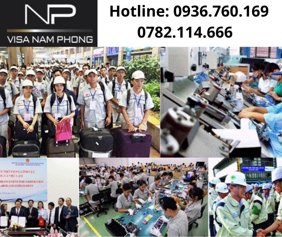 Thủ tục làm giấy phép lao động chuyên nghiệp ở hải phòng