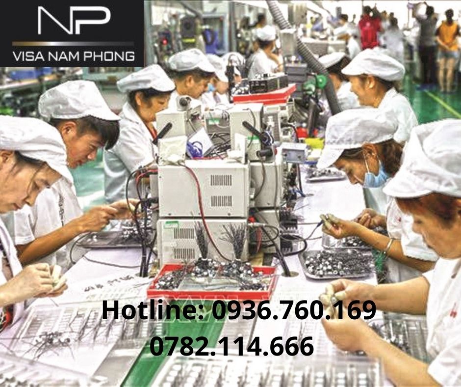 Làm giấy phép lao động của người nước ngoài ở hải phòng