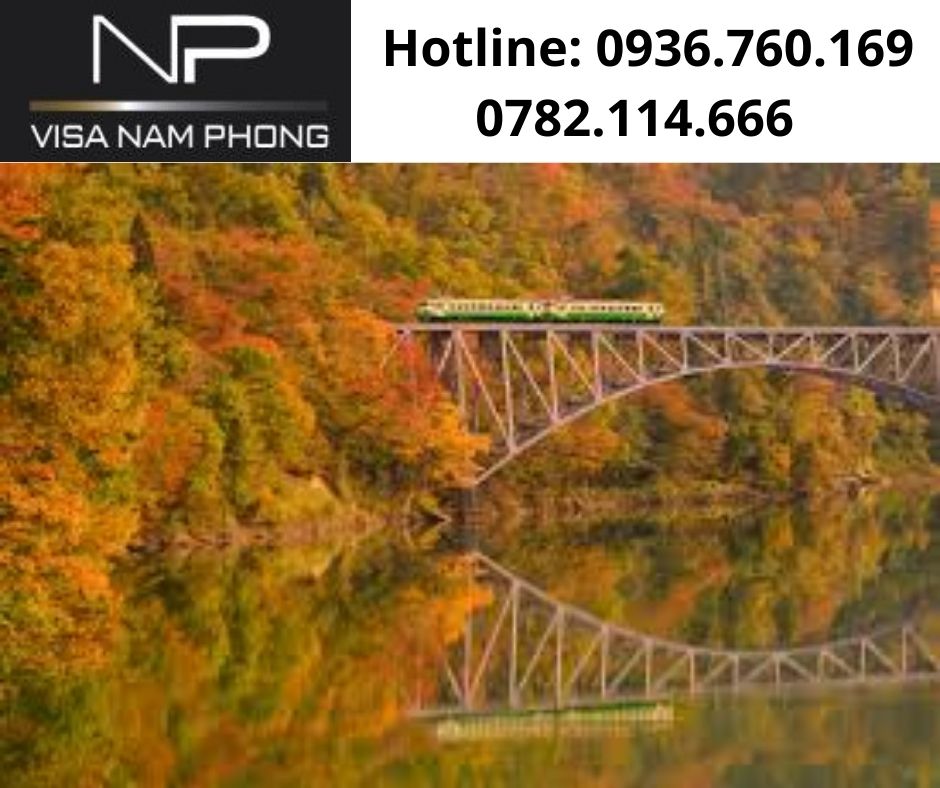 Làm giấy phép lao động nhanh tại hải phòng
