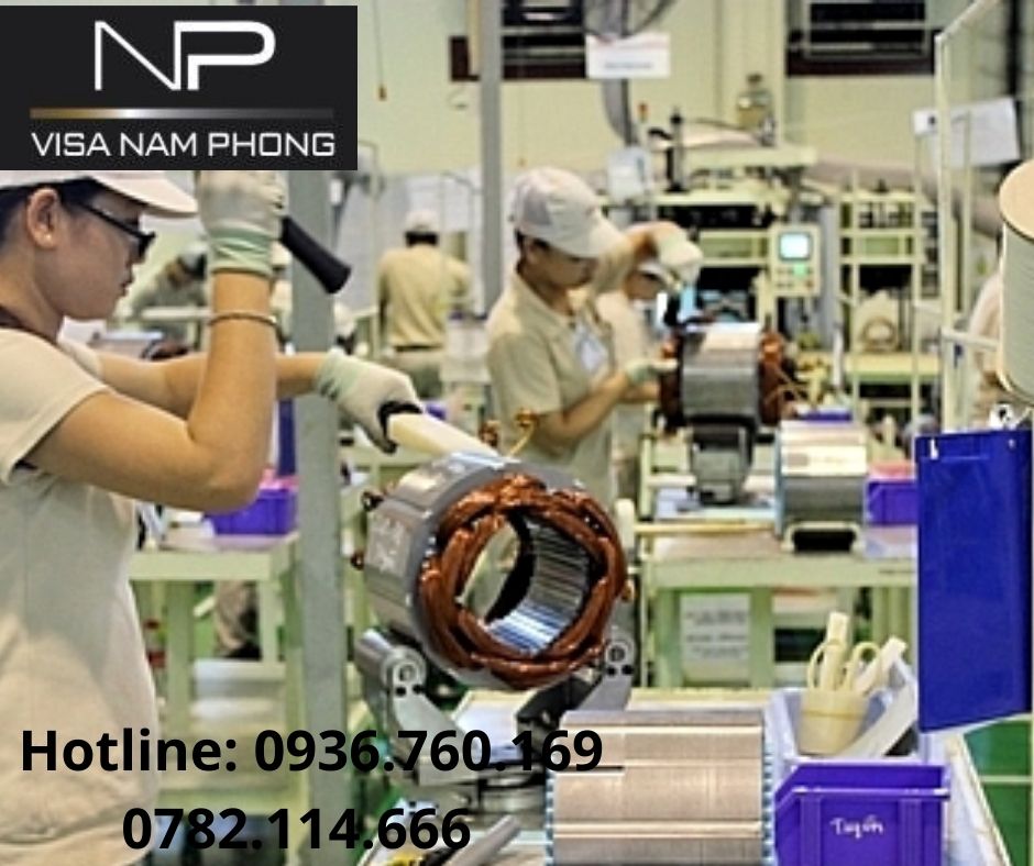Tư vấn Làm giấy phép lao động trọn gói tại hải phòng